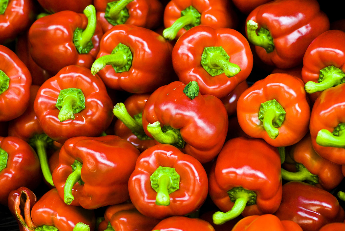 100 Pimento Pepper (Capsicum Annuum) Seeds