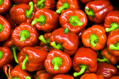 100 Pimento Pepper (Capsicum Annuum) Seeds