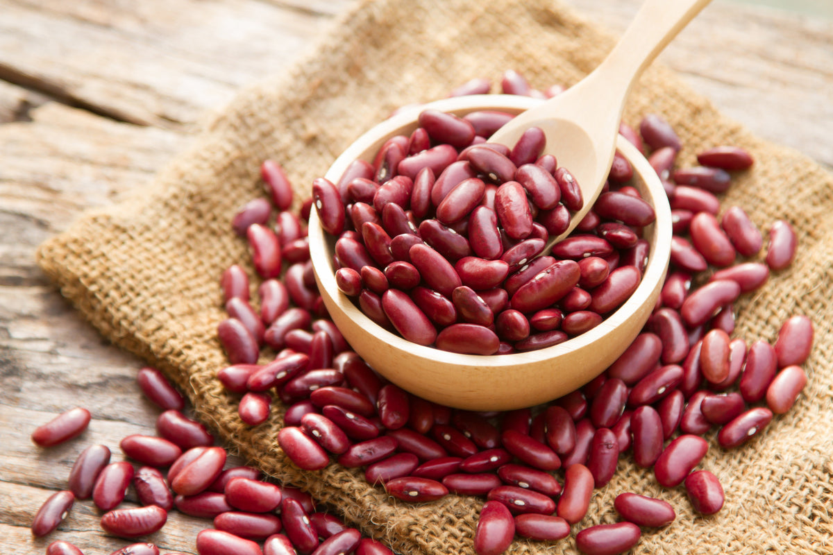 Red Kidney Bean (Phaseolus vulgaris) Seeds – 30 ct