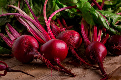 250 DETROIT Dark RED BEET Heirloom Beta Vulgaris Vegetable Seeds