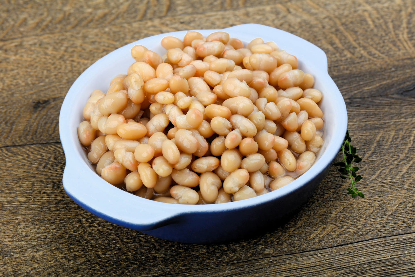 50 White Great Northern Bean (Phaseolus Vulgaris) Seeds