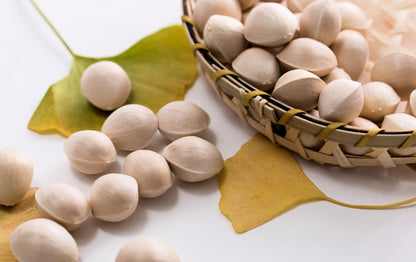 Ginkgo (Ginkgo biloba) Seeds – 10 ct