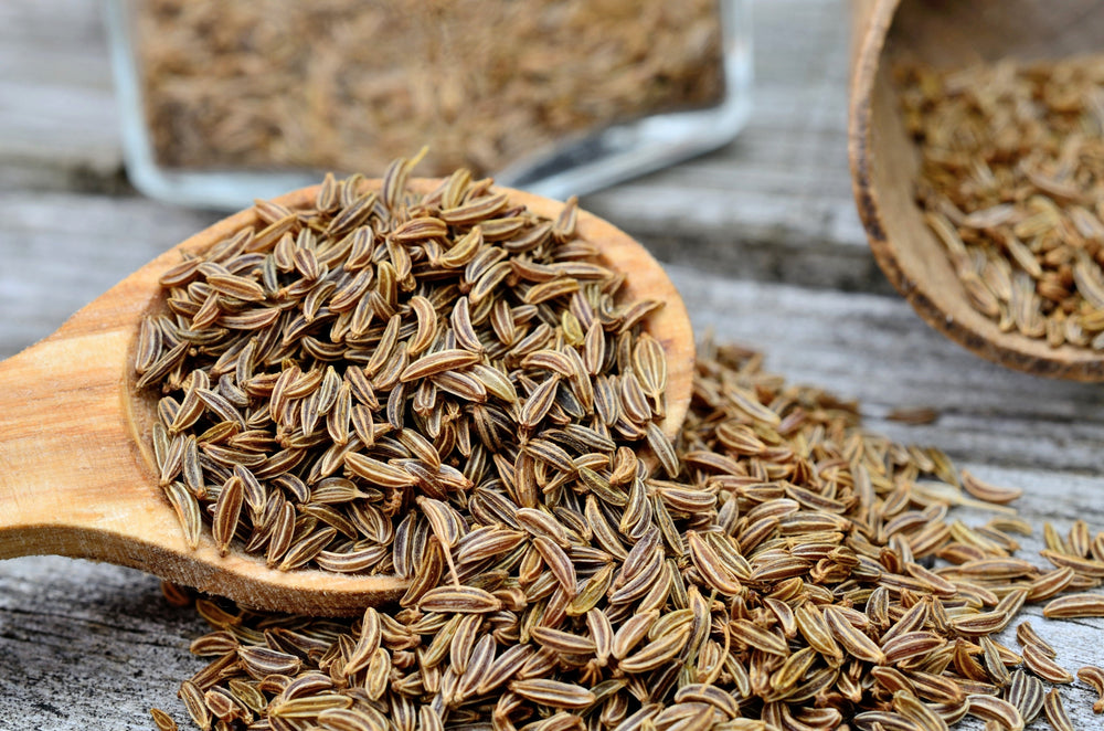 400 Caraway (Carum Carvi) Seeds