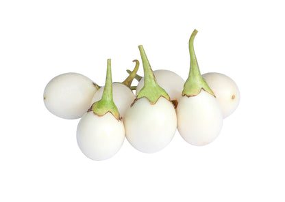 30 Easter Egg Plant (Ornamental Eggplant; Solanum Ovigerum) Seeds