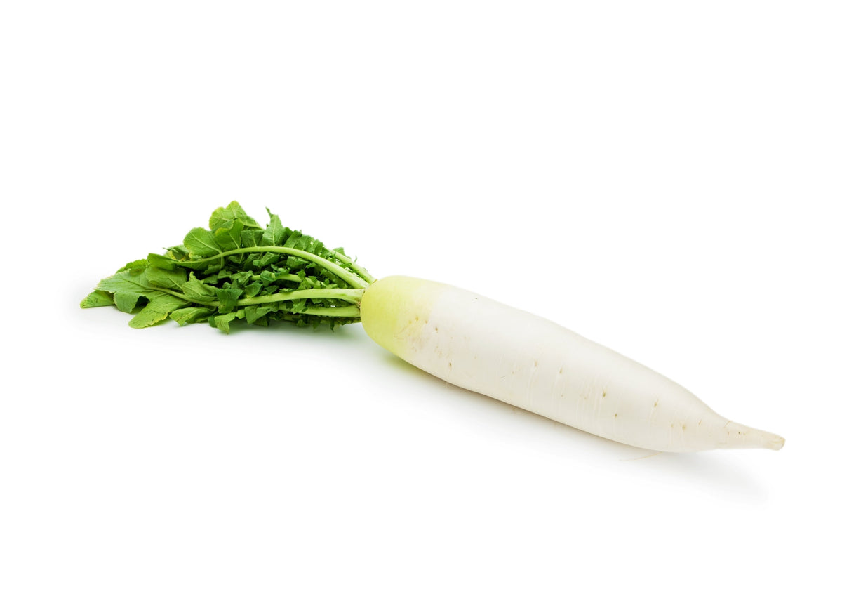 White Icicle Radish (Raphanus sativus) Seeds – 1,250 ct