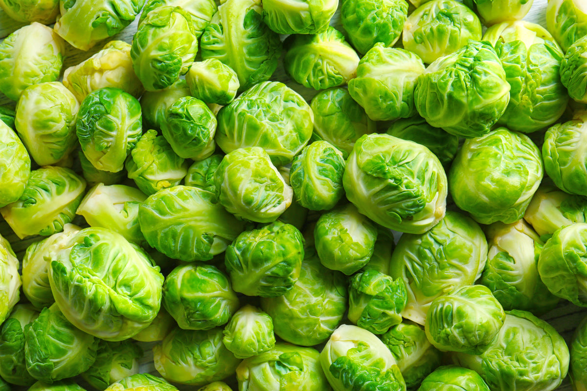 400 CATSKILL BRUSSEL SPROUT Sprouts Brassica Oleracea Vegetable Seeds