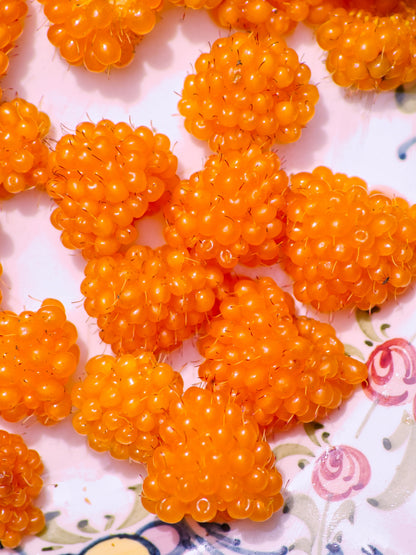 20 Salmonberry (Rubus Spectabilis) Seeds