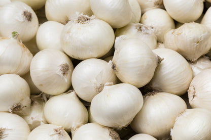 500 Sweet White Spanish Onion (Allium Cepa) Seeds