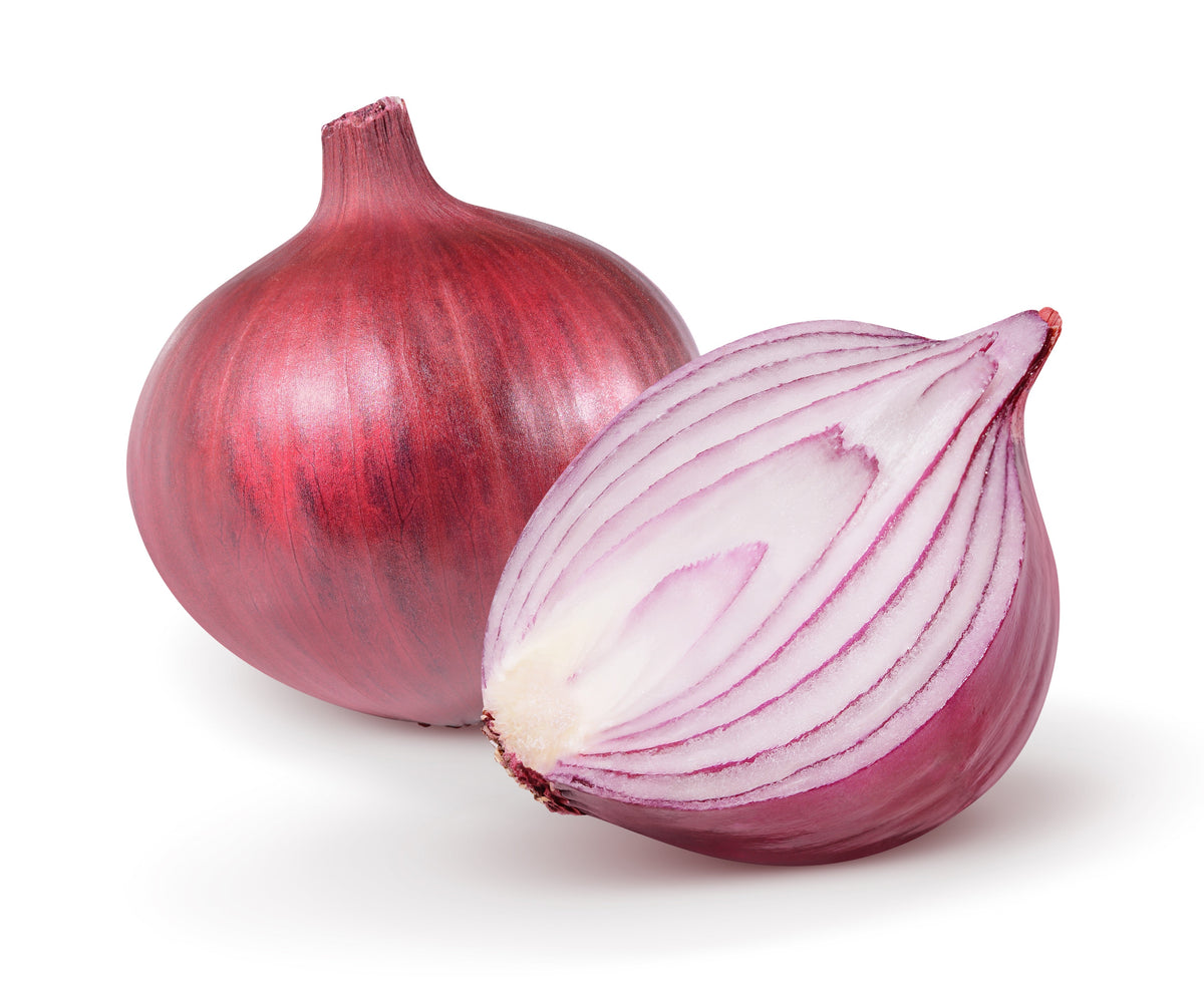 Red Burgundy Onion (Allium cepa) Seeds – 250 ct