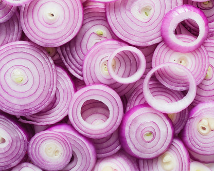 Red Burgundy Onion (Allium cepa) Seeds – 250 ct
