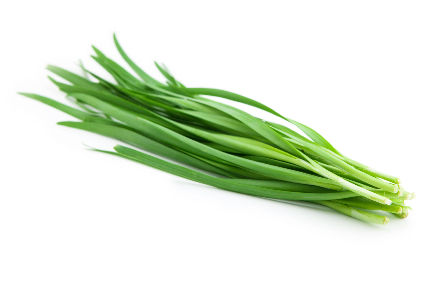 250 Garlic Chive (Allium Tuberosum) Seeds