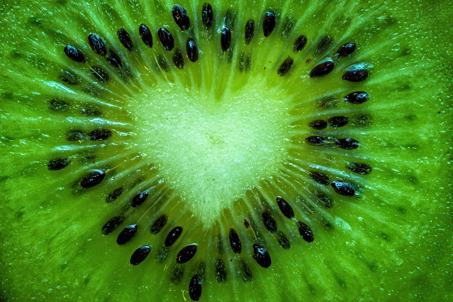 100 Kiwi Fruit (Kiwi Actinidia) Seeds