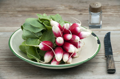 750 French Breakfast Radish (Raphanus Sativus) Seeds