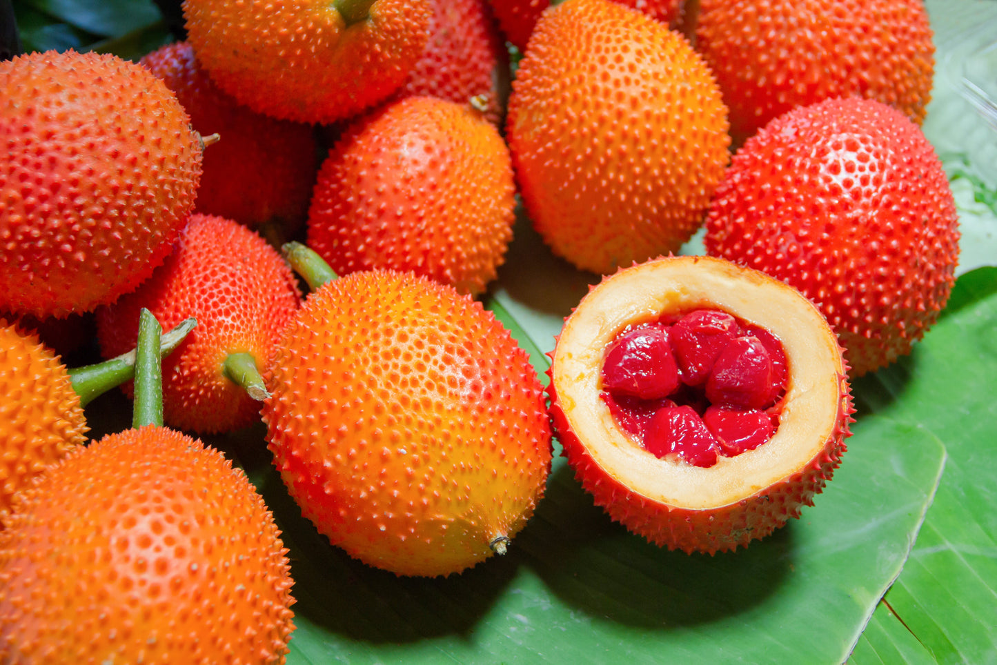 2 Gac Fruit (Momordica Cochinchinensis) Seeds