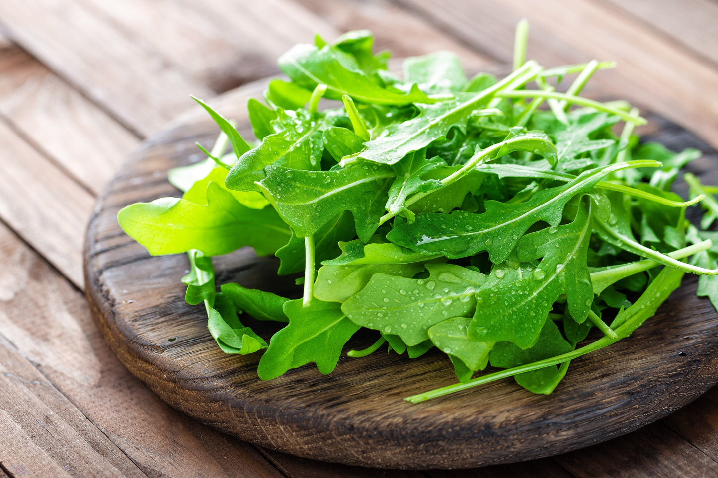2000 Arugula (Eruca Vesicaria Sativa) Seeds