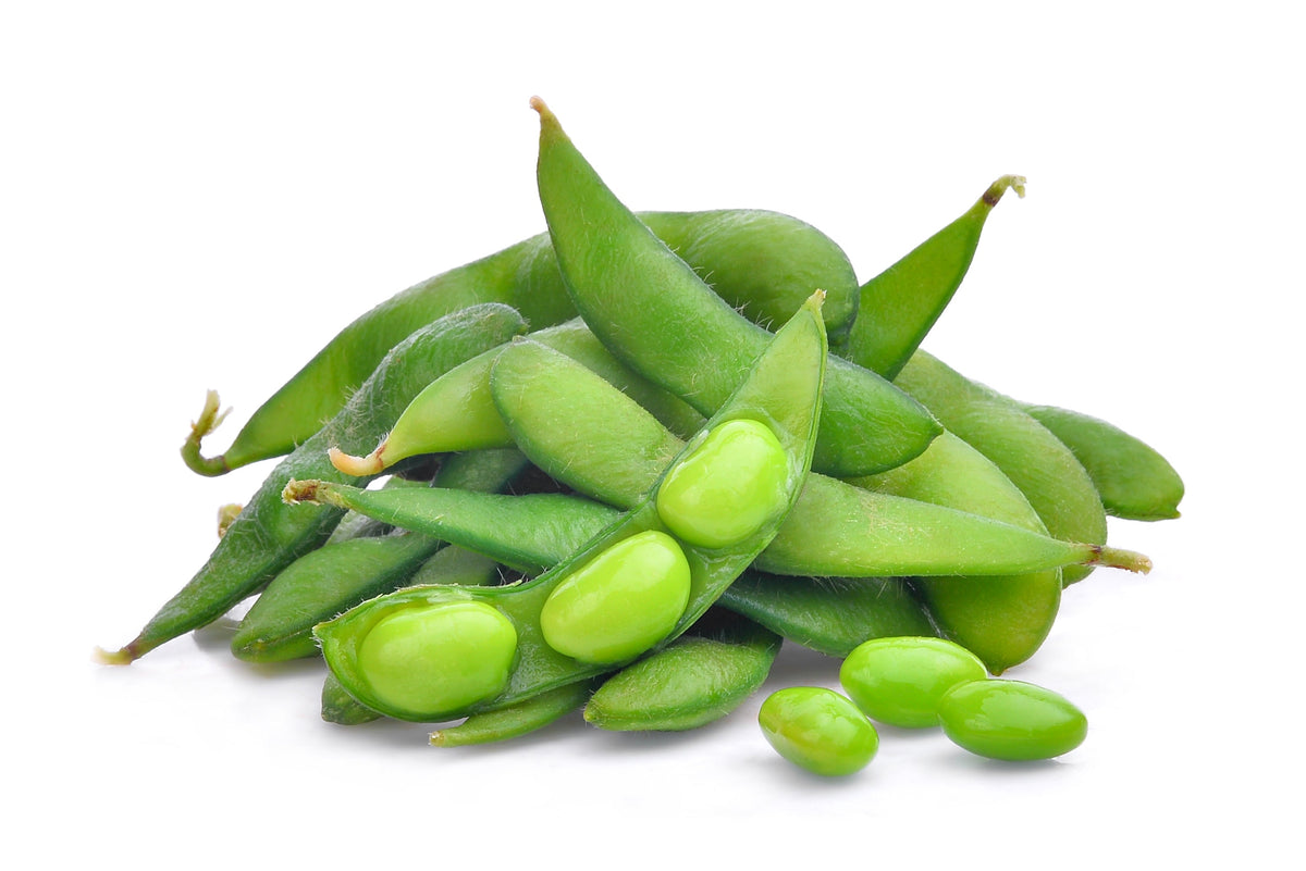 20 Buttery Edamame TOHYA SOYBEAN Pale Green Glycine Max Soy Bean Vegetable Seeds