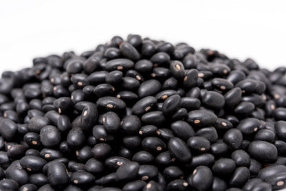 50 BLACK BEAN (Black Turtle Bush Bean) Phaseolus Vulgaris Vegetable Seeds