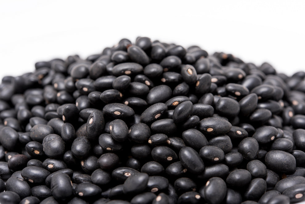50 BLACK BEAN (Black Turtle Bush Bean) Phaseolus Vulgaris Vegetable Se ...