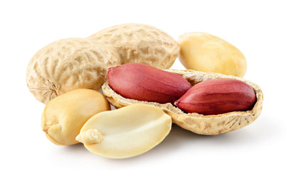 15 Tennessee Red Peanut (Valencia Type) (Arachis Hypogaea) Seeds