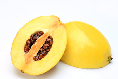 Chinese Quince (Pseudocydonia sinensis) Seeds – 20 ct