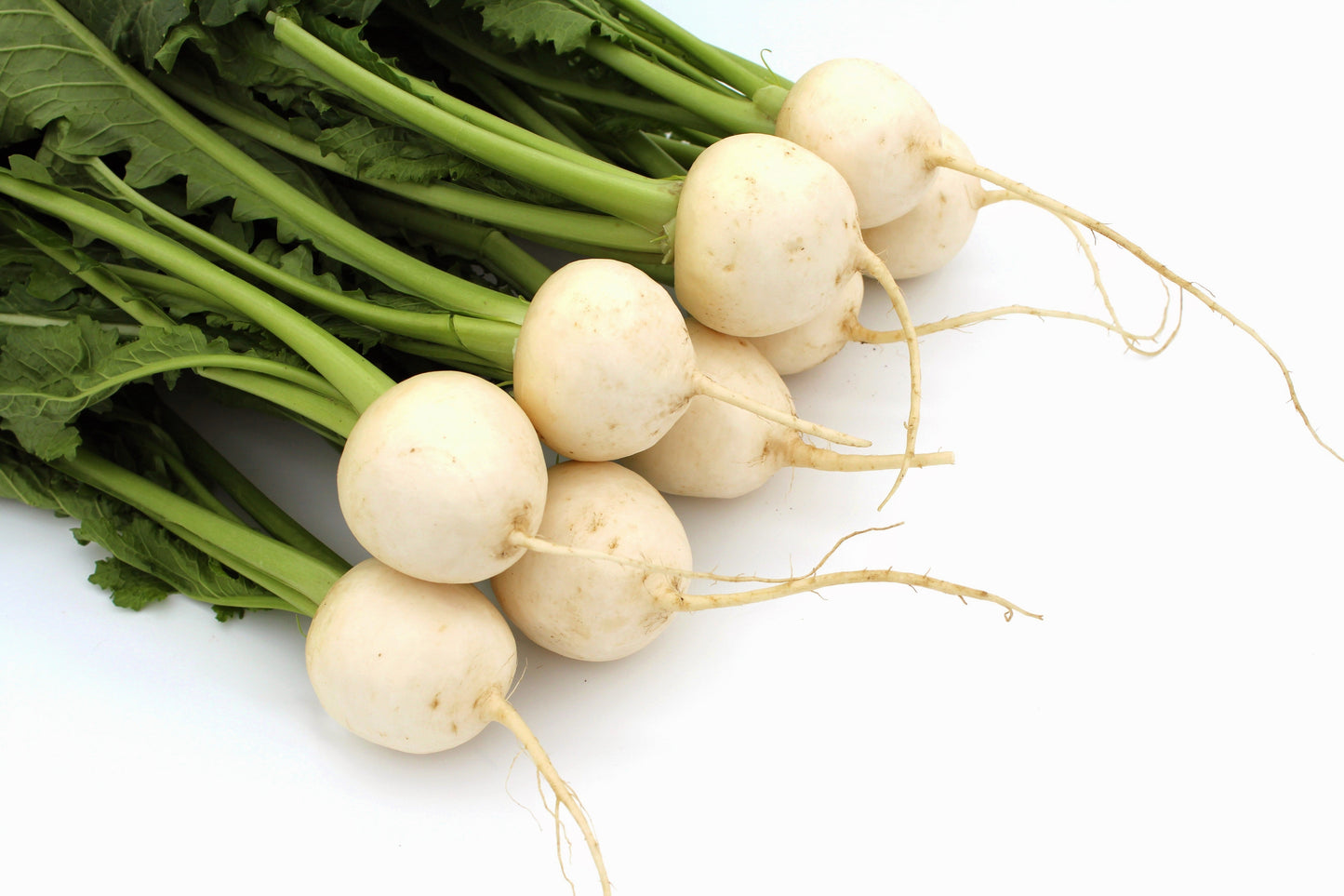 300 White Egg Turnip (Brassica Rapa) Seeds