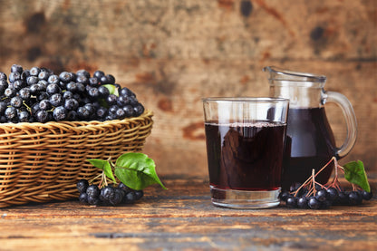 50 Black Chokeberry (Aronia Melanocarpa) Seeds