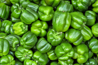 200 BIG GREEN Bell PEPPER Sweet Capsicum Annuum Vegetable Seeds