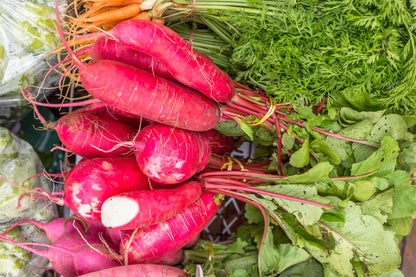 100 China Rose Radish (Raphanus Sativus) Seeds