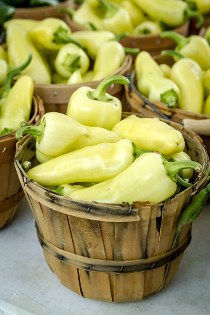 200 SANTA Fe GRANDE PEPPER (Guero Chili Pepper / Yellow Hot Chili Pepper) Capsicum Annuum Vegetable Seeds