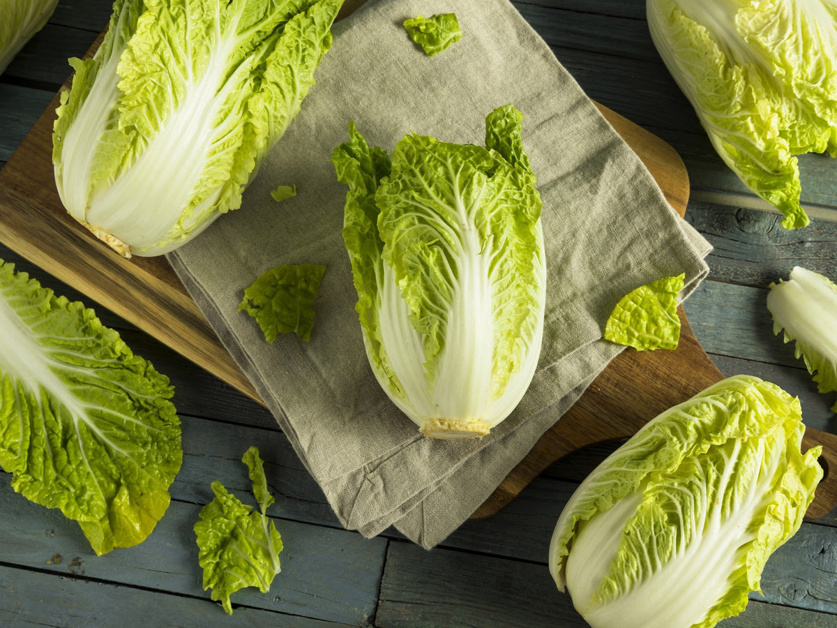 Michihili Chinese Cabbage (Brassica rapa var. pekinensis) Seeds – 500 ct