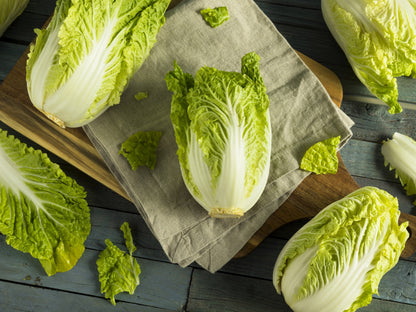 Michihili Chinese Cabbage (Brassica rapa var. pekinensis) Seeds – 500 ct