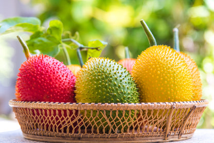 2 Gac Fruit (Momordica Cochinchinensis) Seeds