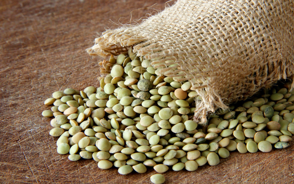 100 Green Lentil(Lens Culinaris)Seeds