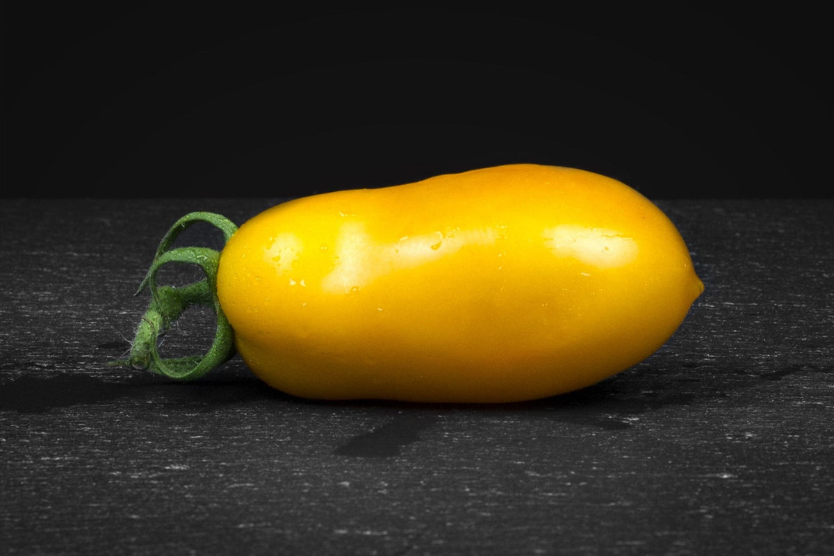 40 BANANA LEGS TOMATO Heirloom Yellow Lycopersicon Fruit Vegetable Seeds
