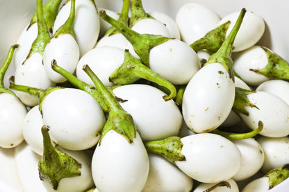 30 Easter Egg Plant (Ornamental Eggplant; Solanum Ovigerum) Seeds