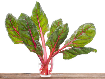 40 Flamingo Swiss Chard (Beta Vulgaris) Seeds