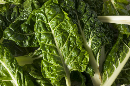 300 Lucullus Swiss Chard (Beta Vulgaris) Seeds