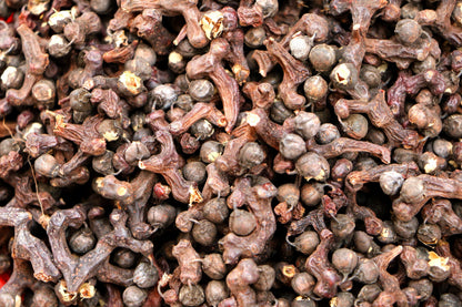 25 JAPANESE RAISIN TREE Edible Fruit Oriental Honey Flowers Hovenia Dulcis Seeds