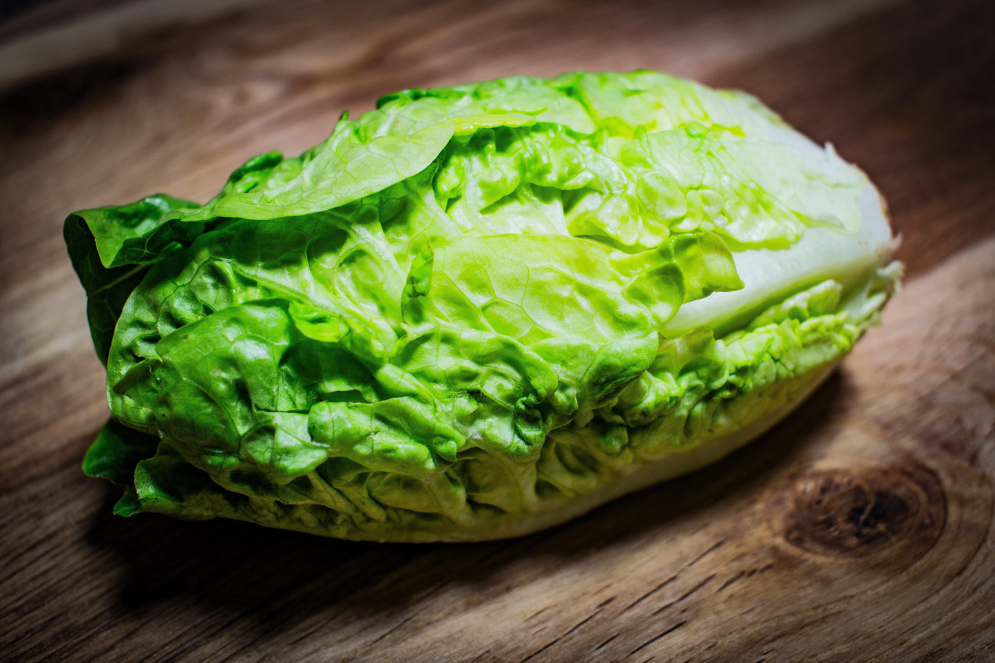 3000 Little Gem Lettuce (Lactuca Sativa) Seeds