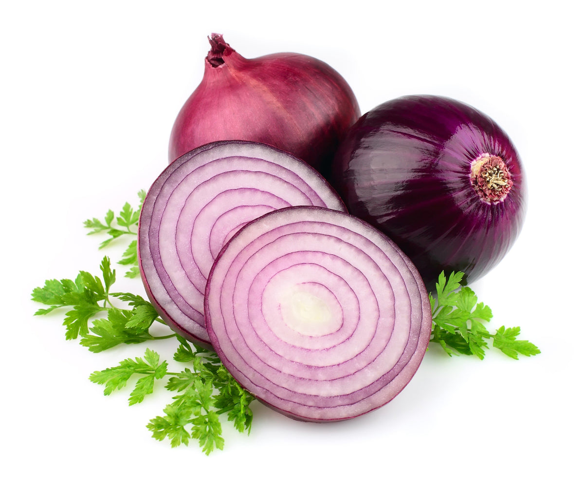 Red Burgundy Onion (Allium cepa) Seeds – 250 ct
