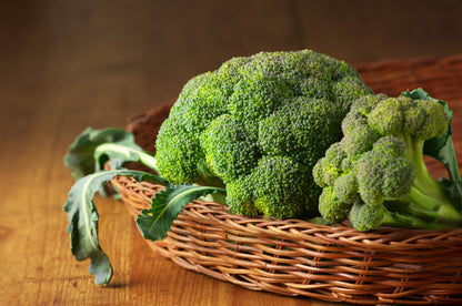 1000 Di Cicco Broccoli (Brassica Oleracea Capitata) Seeds