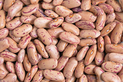 Borlotti Cranberry Bean (Phaseolus vulgaris) Seeds – 50 ct