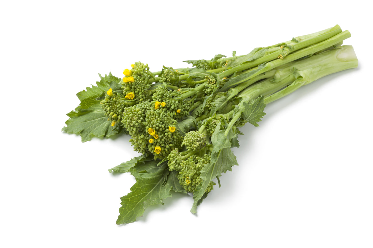 1000 EARLY Fall RAPINI BROCCOLI (Broccoli Raab / Broccoli Rabe / Brocoletti / Cima di Rapa) Brassica Ruvo Vegetable Seeds