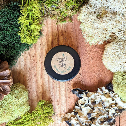 Sinningia Mix "Gloxinia" Seeds