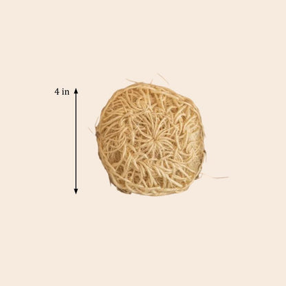 Sisal Exfoliating Body Scrubber