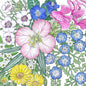 Southwest Native Wildflower Mix (1/4 lb)