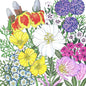 Southwest Wildflower Mix (1/4 lb)