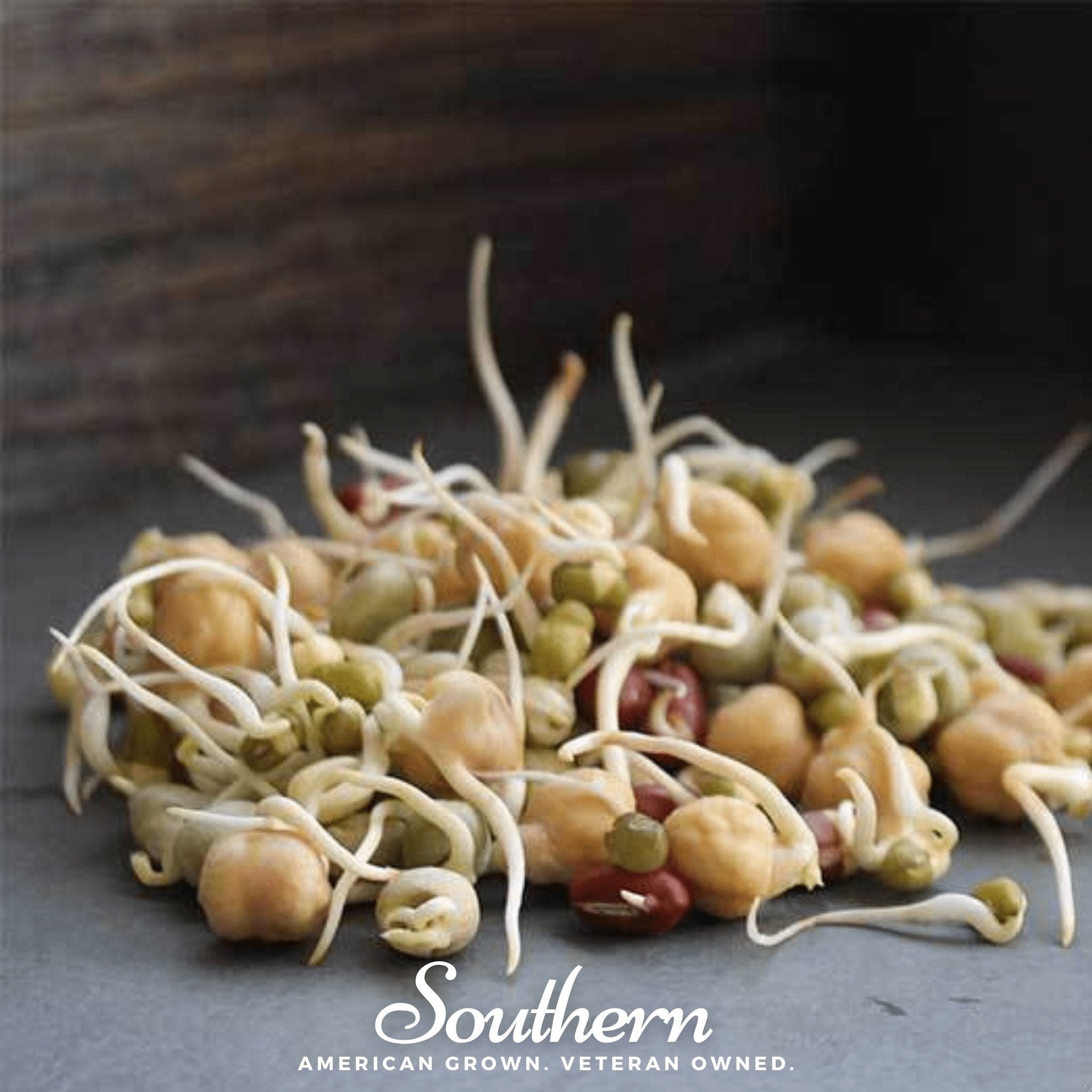 Protein Mix Sprout – 1 ounce – Haven Herbs