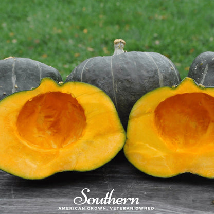 Buttercup Burgess Winter Squash – 20 Seeds