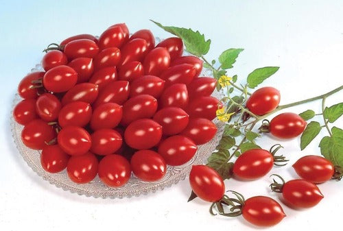 Tomato-Sugary